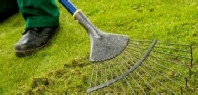 Lawn Treatments Sheffield - Lawn Care, Fertilizers, Pest Control For Lawn